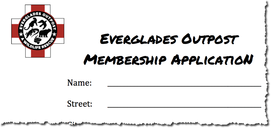 membership-snapshot