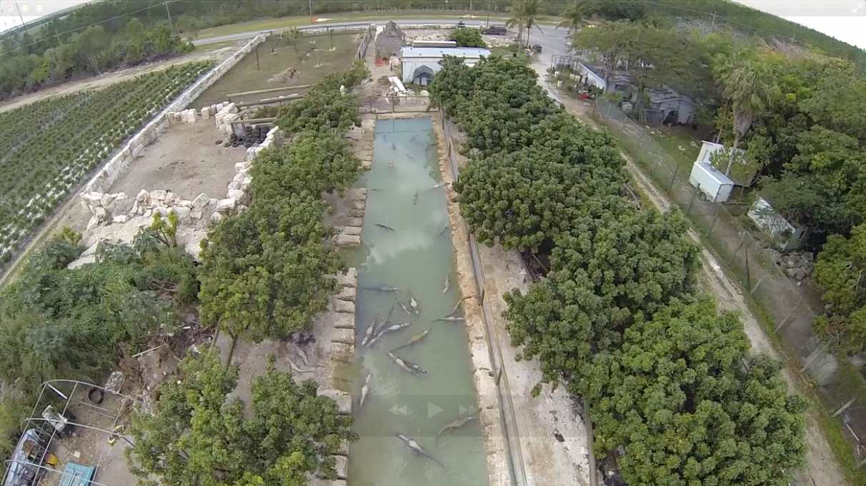 The Everglades Outpost from above