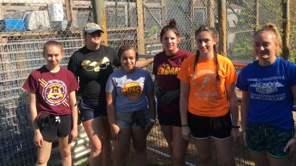 Student volunteering at the Everglades Outpost (video)