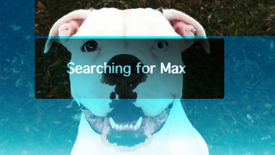 Searching for Max